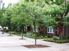 Irving Street Townhomes